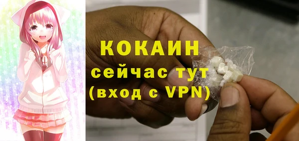 мескалин Дмитриев