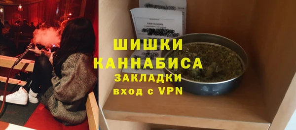 молекула духа Гусиноозёрск
