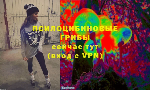 мяу мяу кристалл Гусь-Хрустальный