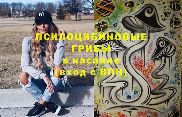 мескалин Дмитриев