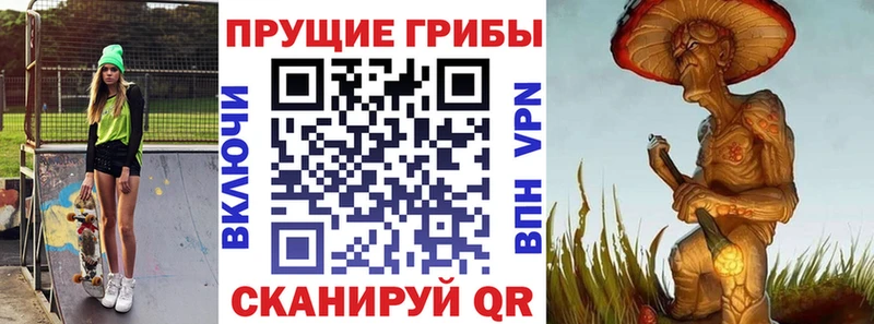 купить наркотик  Донской  Псилоцибиновые грибы Magic Shrooms 